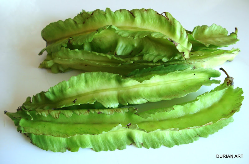 Dragon Beans And Berlingot Salad GOURMANDE In OSAKA