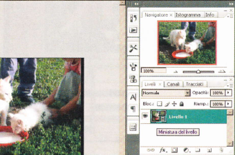 [image[11].png]