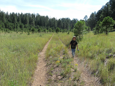 This is the old road that leads through the Dry Lake Hills