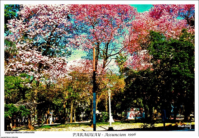[110ParaguayAssuncion2.jpg]