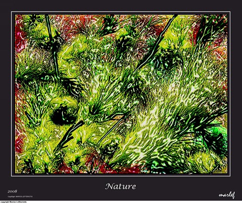 [439NATURE12.jpg]