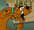 Scooby Doo Lost His Track