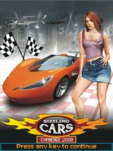 Sizzling Cars