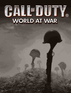 CALL OF DUTY V
