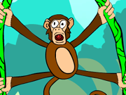 Jungle Monkey