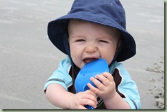 IMG_5011 IMG_5011