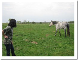 IMG_0686 IMG_0686