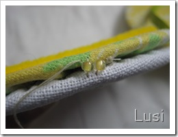 IMG_1598 IMG_1598