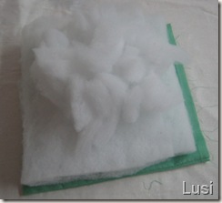 IMG_2185 IMG_2185
