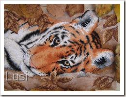 IMG_0549 IMG_0549