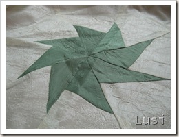 IMG_0796 IMG_0796