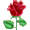 Erhaltene Rosen