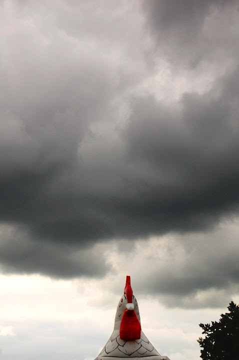 dsc_2572.jpg