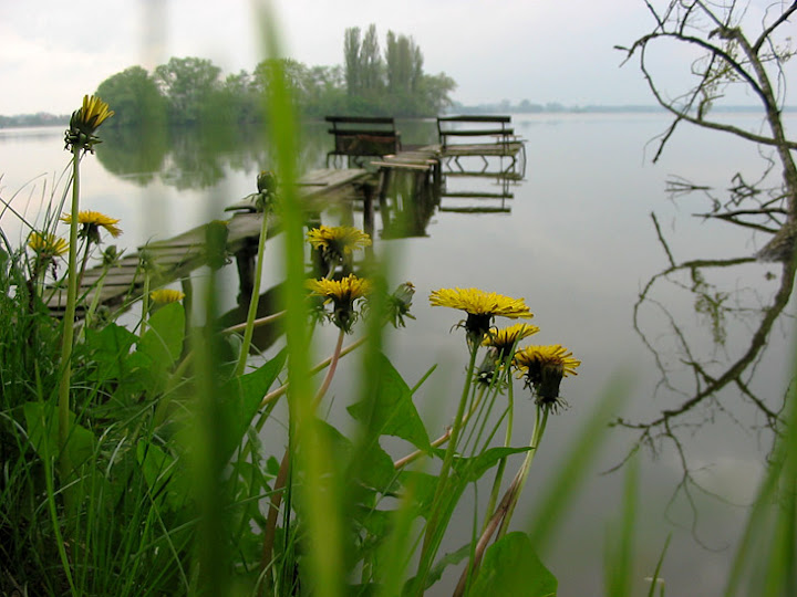 img_4865.jpg