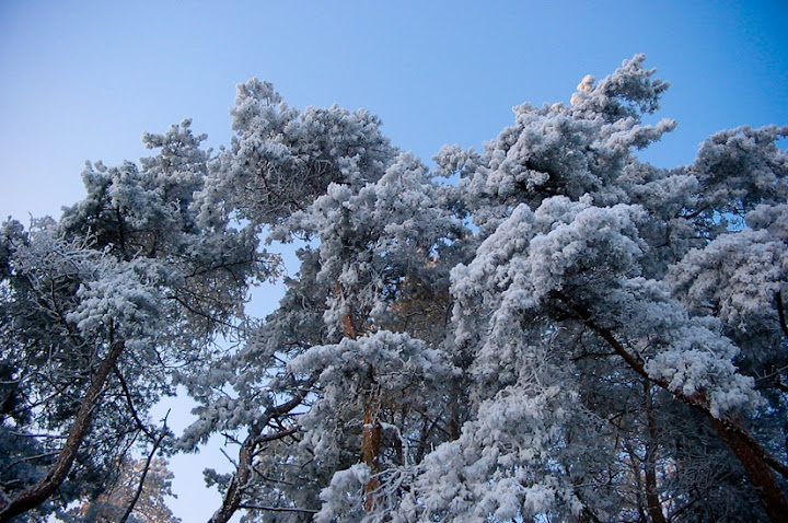 img_7278.jpg