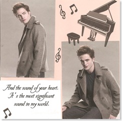 Twilight Book 014