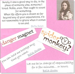 Twilight Book 015