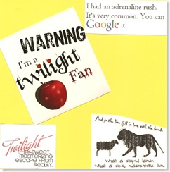 Twilight Book 025
