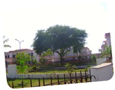 DSC02186