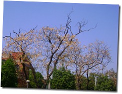 DSC02176