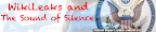 Thumbnail image for WikiLeaks and The Sound of Silence