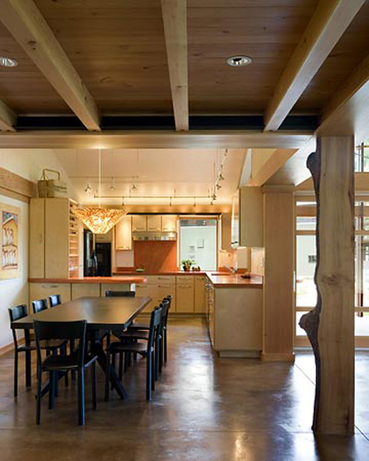 Modern Dining Room and Kitchen Design
