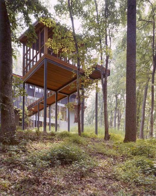 elevated pavilion design modern home architecture