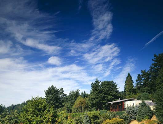 Curved Roof Design Modern Home And Studio Decorating Ideas modern house design architecture ideas
