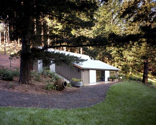 Modern Guest House Decorating With Small Garden In The Backyard