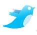 [grey-twitter[4].png]