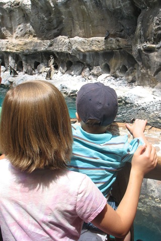 [June20101052.jpg]
