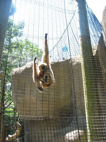 [June20104072.jpg]