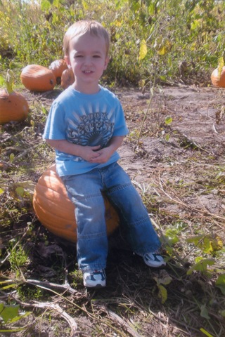 [pumpkin6[3].jpg]