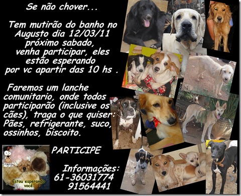 covite 12-03 covite 12-03