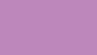 [SS10-Violet[2].jpg]