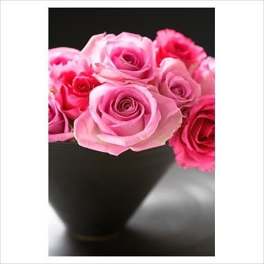 [vaso di rose[3].jpg]