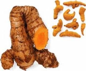 [turmeric1[9].jpg]