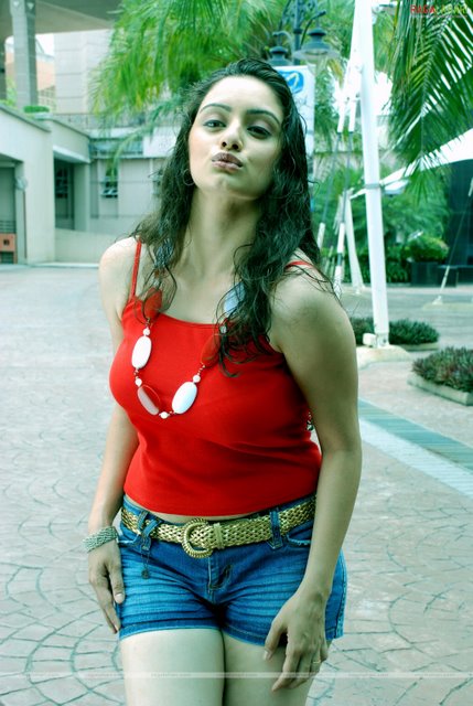 South indian masala actress album<br />
