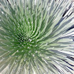 Haleakala8.jpg