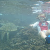 Tortugas15.JPG