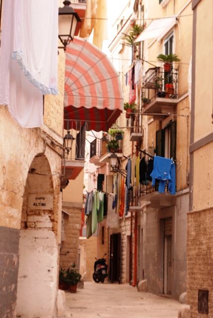 [CopiadeBari0256.jpg]