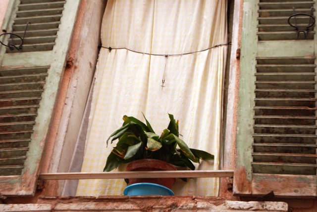 [PACA0666.jpg]