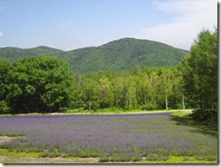 IMG_5419 IMG_5419