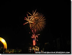IMG_5631v IMG_5631v