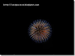 IMG_5735v IMG_5735v