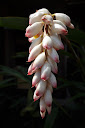 Thumbnail image for Wordless Wednesday 5.26.2010