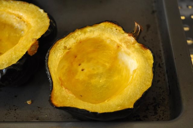 squash, roasted