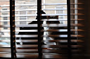 Thumbnail image for Wordless Wednesday 11.10.2010