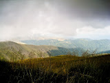 IMG_4143.jpg