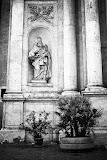 IMG_5532.jpg